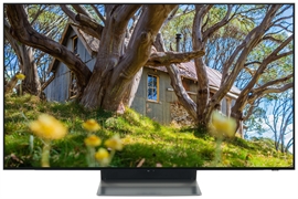 SAMSUNG QE48S90F
