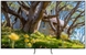 SAMSUNG 65S85D